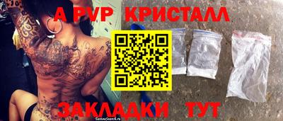 шишки Новодвинск