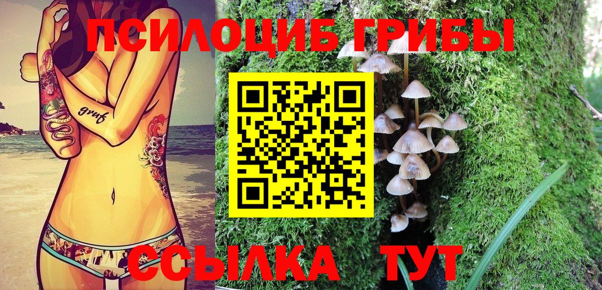 Усолье-Сибирское  Псилоцибиновые грибы ЛСД  Вход с VPN  Галлюциногенные грибы Psilocybine cubensis 